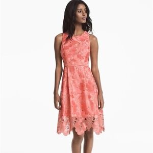 WHBM Tonal Lace Fit and Flare Dress Pink Floral White House Black Market Size 8